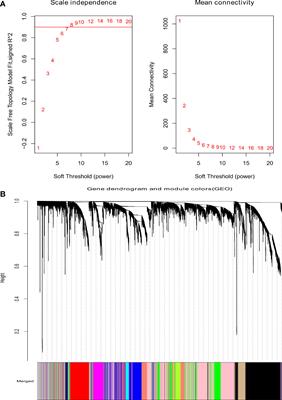 Identification of key immune genes related to lymphatic metastasis of papillary thyroid cancer via bioinformatics analysis and experimental validation